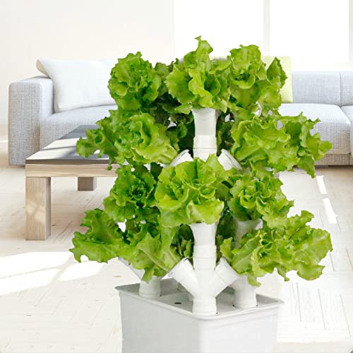 BEESOM Garden Hydroponic Growing System Vertical Tower, 2/3/4 Columns Hydroponic Growing Kit, Vegetable Plant Tower Gift for Gardening Lover - Home Grow Lettuce,Herbs,Veggies & Fruit,24Holes