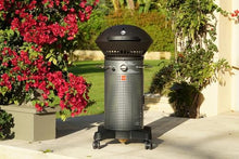Fuego F21C-H Element Hinged Propane Gas Grill, Dark Gray
