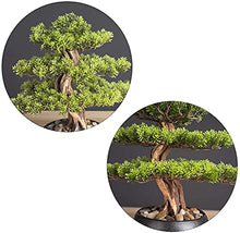 LSHAOBO Artificial Bonsai Tree Realistic Faux Bonsai Tree, Houseplant, Black Ceramic Round Pot and Pebbles Desktop Decoration Novelty Gifts(Color:B)