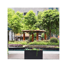 Outdoor Planter, Flower Box, Flower Trough, Commercial Street, Large Flower Bed, Sales Department, Floor to Ceiling, Flower Shelf, Urban Raised Bed