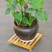 Plant Stand Wooden Movable Plant Pot Trolley Trays Plant Stand Caddy with 4 Wheels Rolling Base, Flower Pots Storage Holder