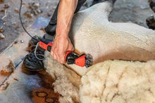 Kerbl Professional 6-Speed Sheep Shear with Farm Clipper, 350 Watts