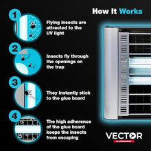 Catchmaster Vector Plasma Grilled Wall-Mounted UV Fly Light Trap - 3,100 sq. ft. Catch Zone, Fly Trap for Dining Rooms & Commercial Kitchens and Fresh & Dry Food Storage, UV Lamp Flying Insect Killer