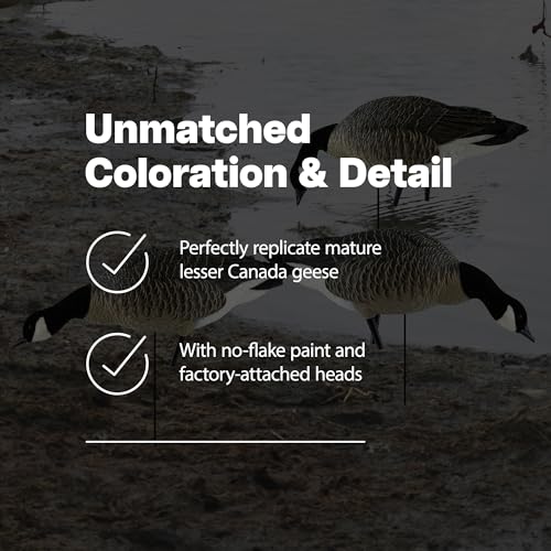 Avian-X AXP Honkers Fusion Pack Lesser Canada Goose Decoys Set of 18 Brown and White