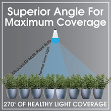 Miracle LED Plant Survival Indoor Grow Light Kit - 4 Multi-Plant Blue Spectrum Bulbs & 4-Socket Fixture with Timer Blue Spectrum