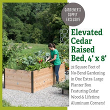 Gardener's Supply Company Elevated Cedar Raised Garden Bed 4' x 8' Brown