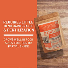 Hancock's Centipede Grass Seed - Coated - 25 lbs.