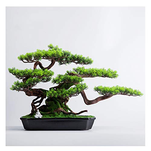 Simulation Welcome Songke Bonsai Office Decoration New Green Plants Living Room Entrance Decoration Podocarpus Hotel Gifts and Crafts House Plant (Color : C) (Green)
