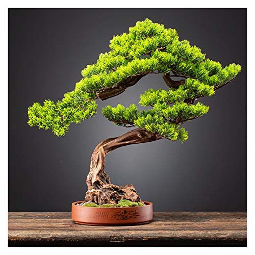 Welcome Pine Cliff Cypress Simulation Bonsai Living Room Hotel Entrance Decoration Ornaments Purple Sand Flower Pot Potted Plants House Plant (Color : C)