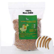 WORKPOINT 44LBS Dried Mealworms for Chickens, 100% Natural Premium Quality Non-GMO, Treats for Poultry, Chickens, Ducks and Geese