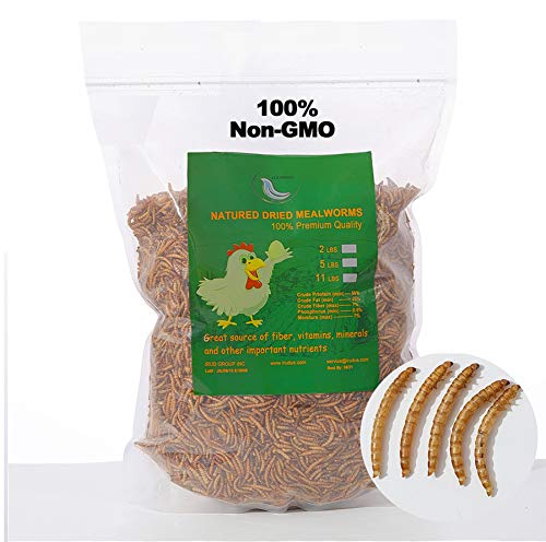 WORKPOINT 44LBS Dried Mealworms for Chickens, 100% Natural Premium Quality Non-GMO, Treats for Poultry, Chickens, Ducks and Geese
