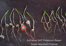Soil Moist SAP Garden and Lawn Soil Treatment for Improved Water Retention Keep Plant Root Zone Moisture (20)