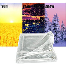BAILR Thicken Clear Soft Glass Balcony Rain Curtain 13x13ft, Tarpaulin Transparent Waterproof PVC Plastic Tarp with Eyelets, Insulation Garden,Camping,Outdoor,Greenhouse Plant Cover (A 4x4m)