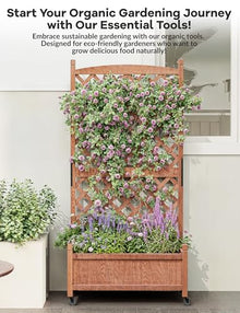 61.5 Inches Raised Garden Bed With Diamonds Lattice Trellis, Galvanized Mobile Outdoor Planter Box for Climbing Plants/Vines, Freestanding Planter Container With Drainage Holes, Optional Wheels
