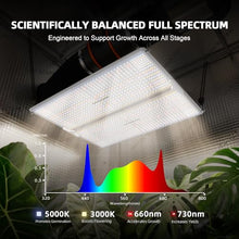 Spider Farmer SF4000 LED Grow Lights for Indoor Plants in 4x4 Grow Tent