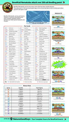 Beneficial Nematodes Steinernema feltiae SF - Biological Fungas Gnat Control (500 Million)