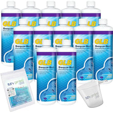 GLB Sequa-Sol 32 FL OZ (71016A) Prevents Stains & Scale, Includes My Garden Pool Measuring Cup & Test Strips, 12-Pack