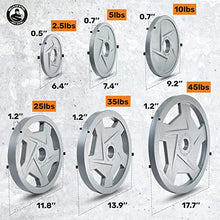 Bells of Steel Cast Iron Weight Plates Gray