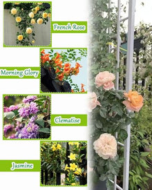Garden Trellis, Metal Garden Trellis Wedding Arch with Base Or Ground Stakes Multicolor Multiple Sizes(Green-b,140x230cm/4.5x7.5ft)