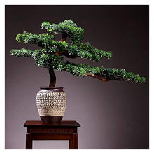 Large Living Room Simulation Welcoming Pine Bonsai Porch Plant Potted Indoor Desktop Green Plants Flower Ornaments Decoration Gifts House Plant (Color : L)