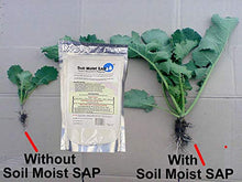 Soil Moist SAP Super Absorbent Polymer for Plant Growth 45 Pounds White