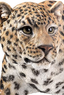 Hi- Line Gift 87694 Decorative Leopard Stalking Statue