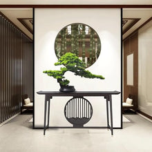 QWERAXZG Bonsai Hotel Living Room Office Porch Home Zen Decorative Pieces