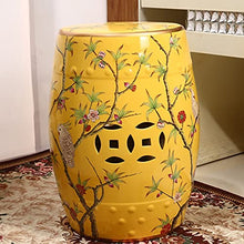 ECOLFE Garden Stool, Flower and Bird Ceramic Drum Stool，Garden Decorative Stool, Suitable for Garden, Patio, Lawn,Home Indoor & Outdoor