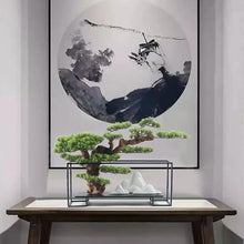 TATSEN Green Plants Bonsai Living Room Porch TV Cabinet Home Furnishing Soft Decorations (Color : A, Size : 80 * 25 * 50cm)
