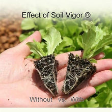 Amending Soil with Potassium Polymer Water Storing Crystals Gel (20 Pounds)
