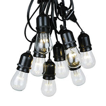 100 Foot S14 Edison Outdoor String Lights, 50 LED Bulbs, Waterproof