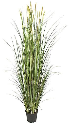 Autograph Foliages A-100750 71 in. PVC Pondweed Grass, Green