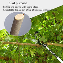 Telescopic Tree Pruner, Height Extendable Pruning Saw Gardening Branch Saw Loppers Cutter Trimmer Tools for Trimming Branches and Leaves,6m/19.6ft