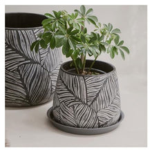 thalo Planter Pots Creative Cement Flowerpot Living Room Personalized Flowerpot Home Simple Indoor Large Diameter Thickened Flowerpot Plant Container Accessories (Size : Medium)