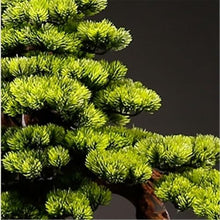 YXIANG56Q Fake Plants Artificial Bonsai Tree Light Luxury Floor Ornaments Living Room Entrance Decoration Fake Plants Potted Plants Bonsai Tree