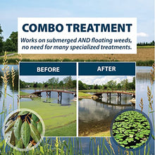 Airmax Wipeout Pond Weed Defense Herbicide 1 Gallon