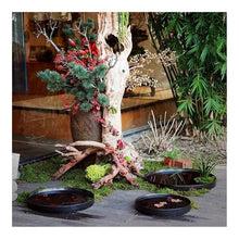 ZHONGCHENGWU Plant Saucers Round Ceramic Flowerware Plant Pallet, Flower Pot Drip Tray for Indoor Outdoor Black(Medium)