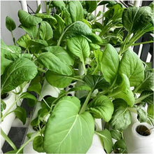 FLTRGO Hydroponics Growing System Hydroponic Grow Kit, 36 Holes Pipe Grow Kit Indoor Greenhouse Planting Box Gardening System Nursery Pot Hydroponic Rack Hydroponic Tower