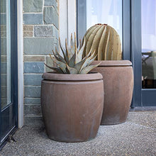 Desert Steel Fishhook Barrel Cactus - Indoor/Outdoor Metal Yard Art & Yard Decor, All Weather, Large (23" H x 20" W)