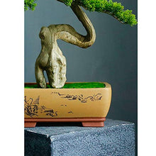 YXIANG56Q Fake Plants Grade Simulation Welcome to Tree Tree Bonsai Hotel Office Tea Several Live Hall Extreme Decoration Beautiful Items Bonsai Tree(D)
