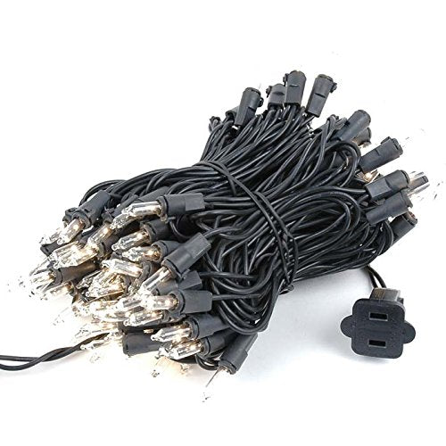 Novelty Lights 24-Pack, 34 Feet 100 Bulbs Traditional Incandescent Mini Lights, Clear on Black Wire with 4" Spacing, Commercial Grade and UL Listed for Indoor/Outdoor Use, End-to-End Connectable