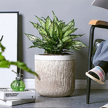 Planters Retro Wood Cement Flowerpot Large Simple Living Room Floor-Standing Potted Flowerpot for Planting Large Plants and Trees Nursery Pots (Size : Large)