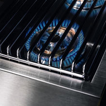 TrueFlame Built-in Stainless Steel Double Side Burner - TFSB2L