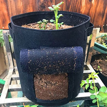 Planter Bags Pot Home Indoor Garden Breathable Potato Tomato Vegetable Moestuin Plant Growth Bag (Color : C) (B)