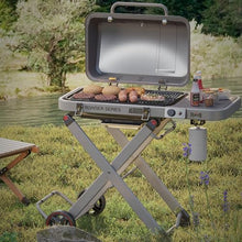 Feasto Portable Gas Grill with Foldable X-Frame Cart for Tailgating, Gray