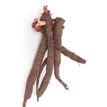 Votaniki Sorbet Peony Roots for Planting - Large Double Blooms & Fragrance Peony | 3-5 Eye XL Roots, for 5+ Gallon Pot, Easy to Grow - Perennial Flowering Peony Roots (25 Pack)