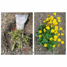Transform Your Garden with Soil Vigor® - Enhance Hydration, Growth, and Resilience with 9 x 5-Pound Bags (Total 45 Lb) (Small Granules)
