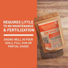 Hancock Seed Co. Centipede Grass Seed - Raw, 25 lbs.