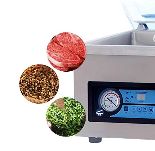 MTN Industries Vac & Seal 10" HVC-260T Chamber Vacuum Sealer Stainless Steel