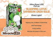 Miracle LED Blooming Lotus Daybreak Full Spectrum LED Grow Light Bulb 24-Pack